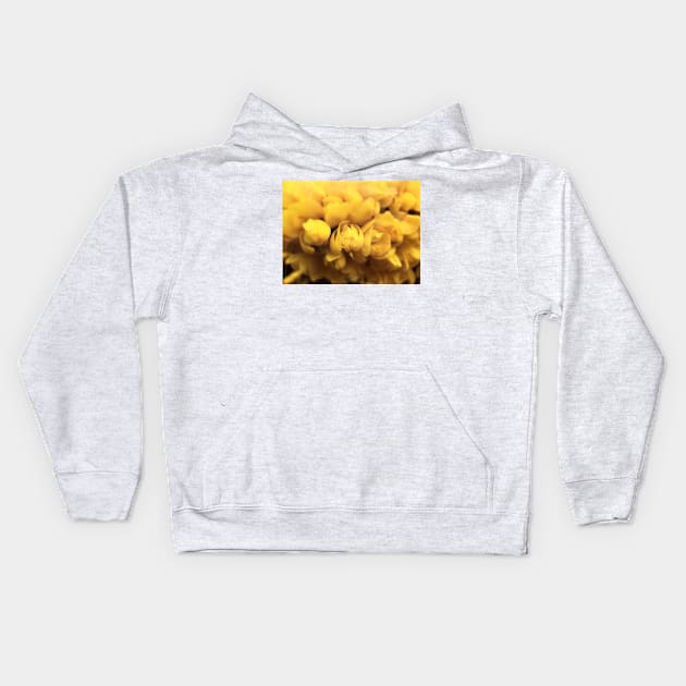 Gorse Bush Flowers (Ulex europaeus) Kids Hoodie by Ludwig Wagner